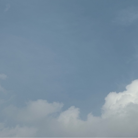 Meet your Posher, Kelsey - Picture 3 of 10